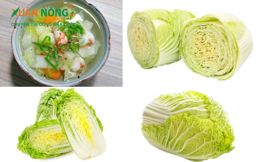 Canh bắp thảo tôm