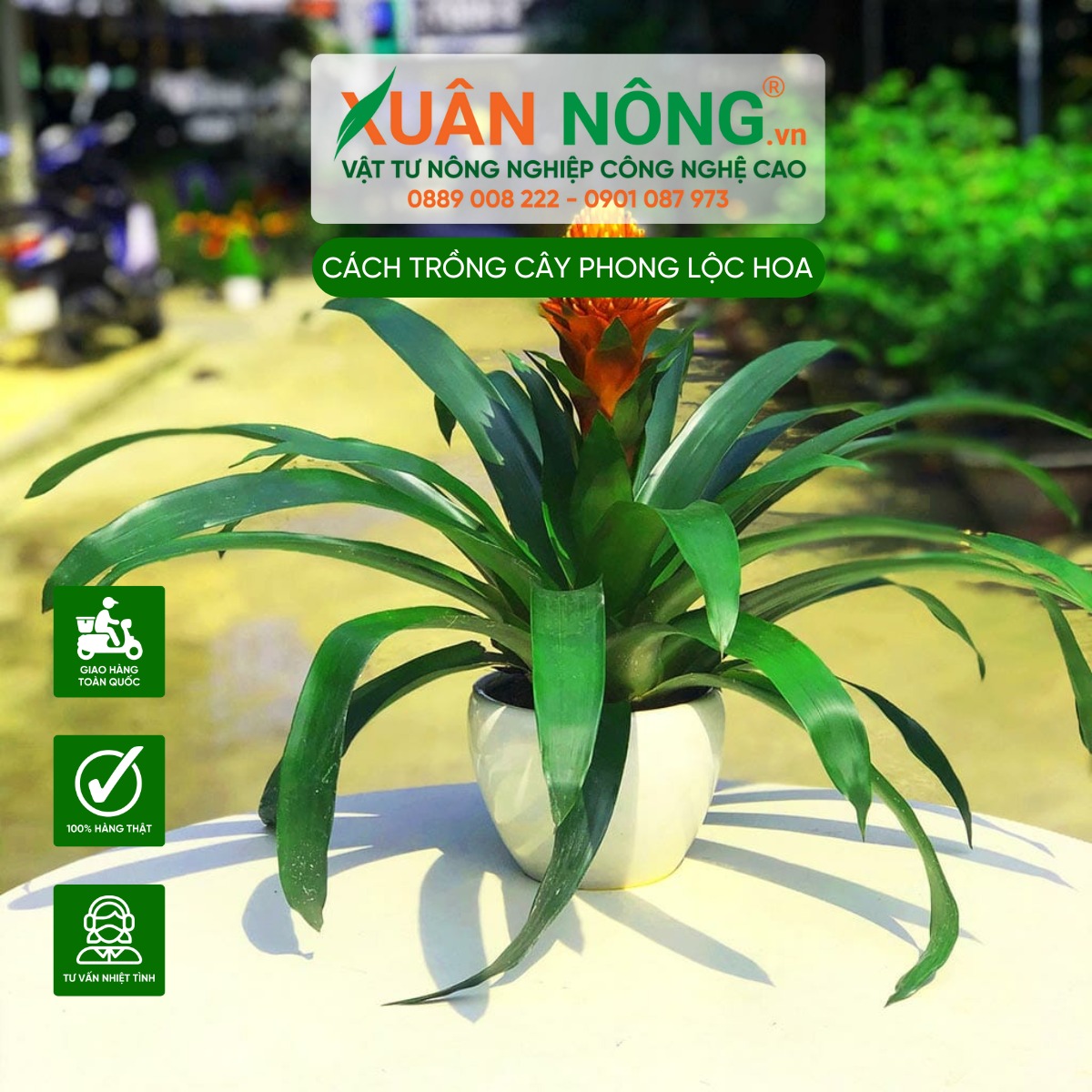 Cân bằng năng lượng