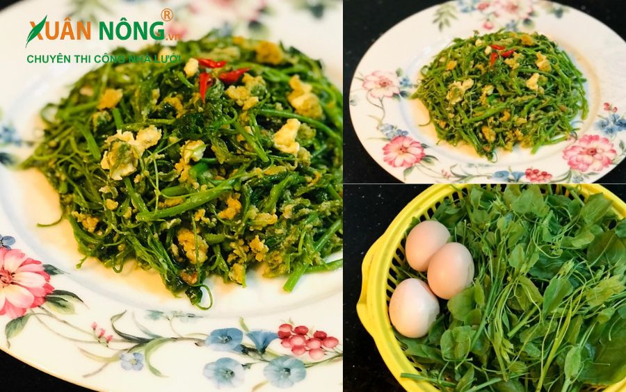 Rau bò khai xào trứng