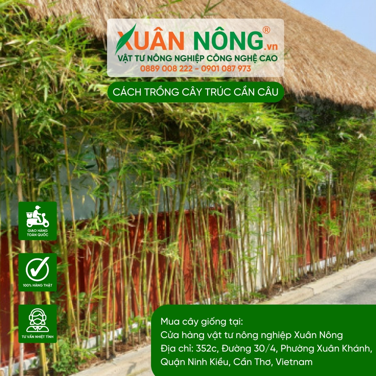 Quản lý sâu bệnh