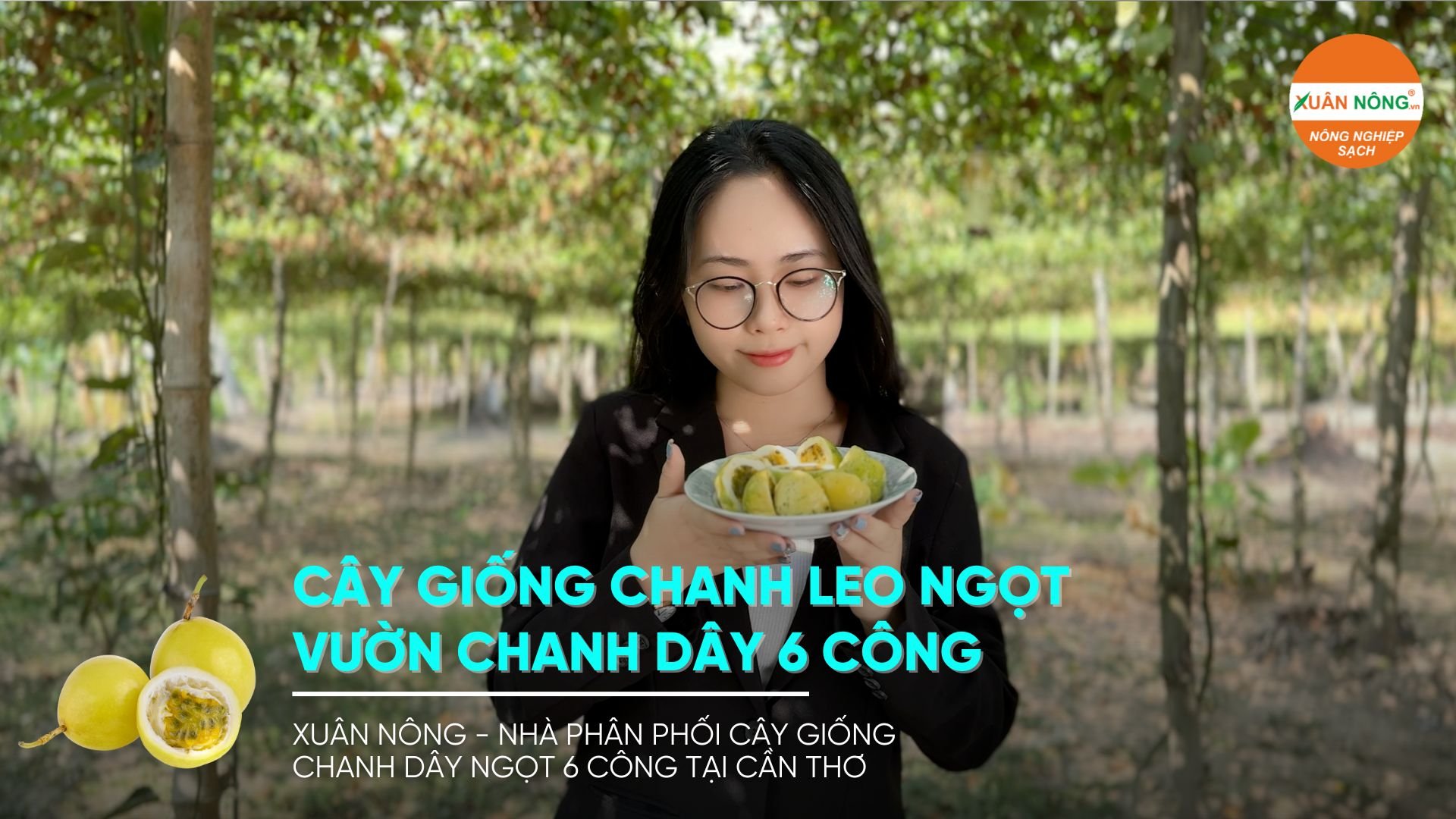 chanh day ngot 6 Cong