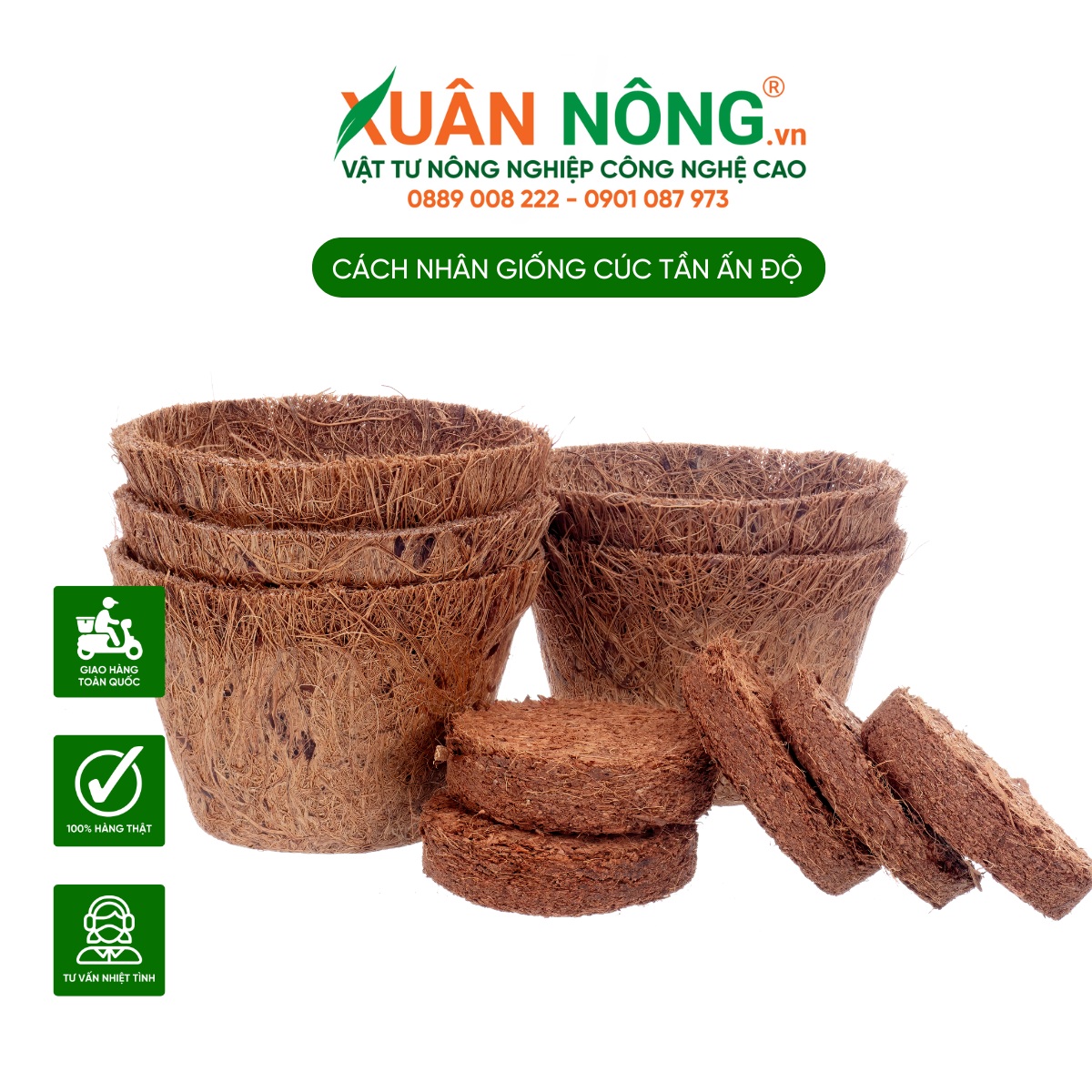 Chuẩn bị dụng cụ cần thiết