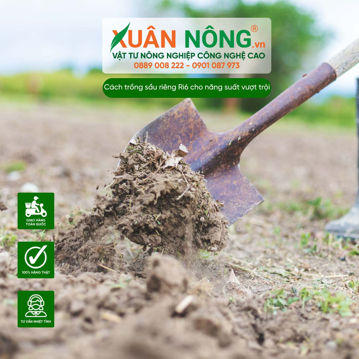 Chuẩn bị đất trồng