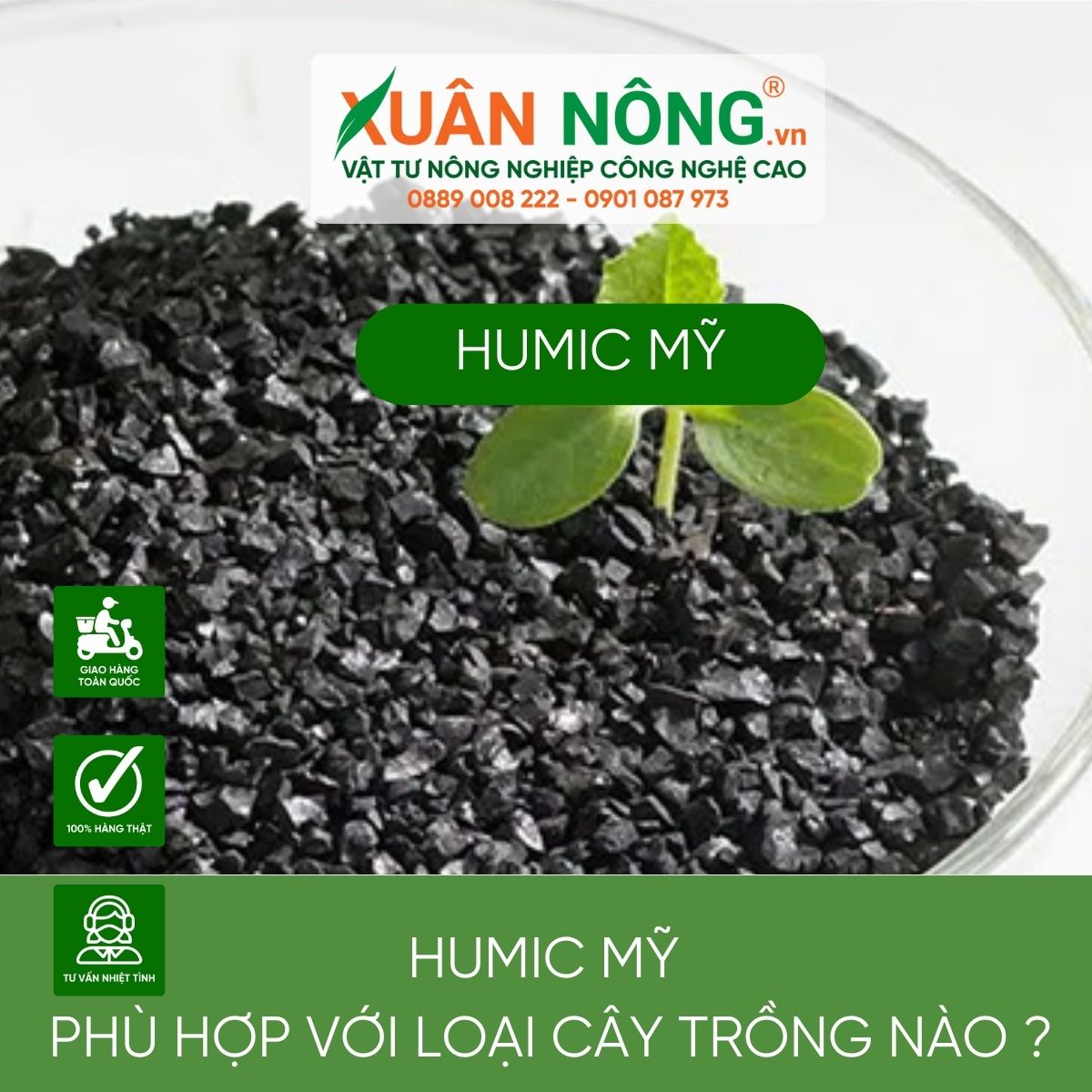 humic-my-dung-cho-cay-nao