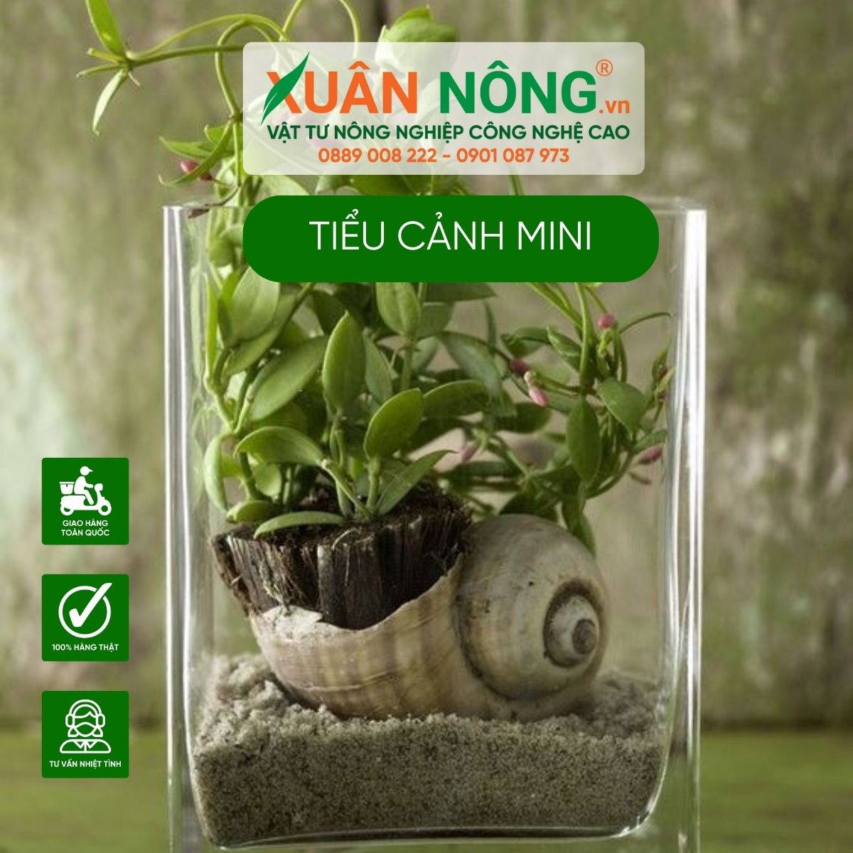 loi-ich-tieu-canh-mini