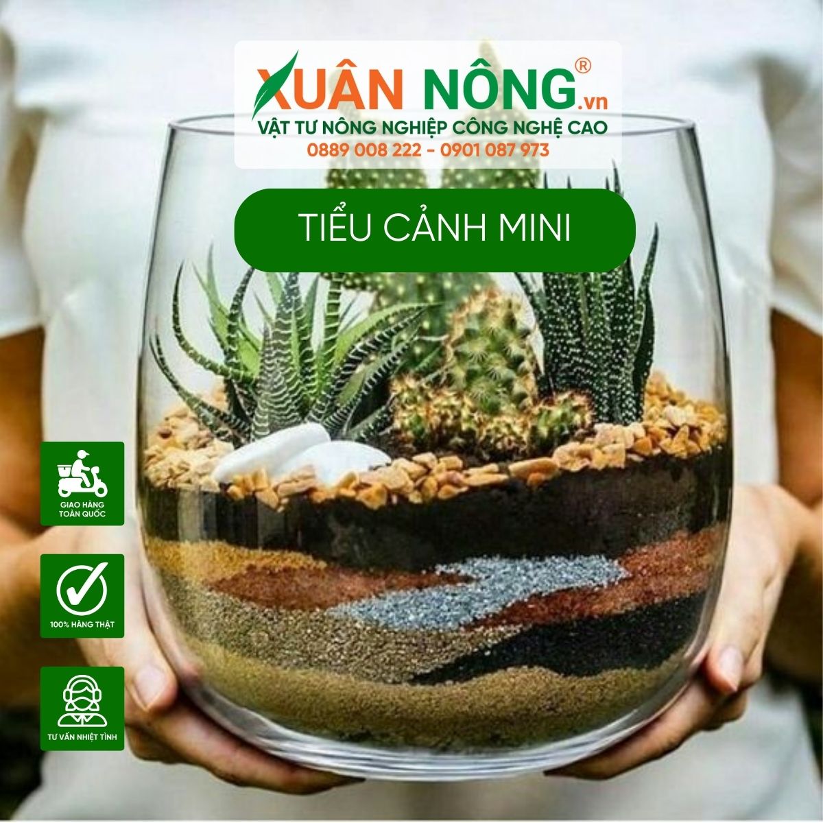 tieu-canh-mini-cach-cham-soc