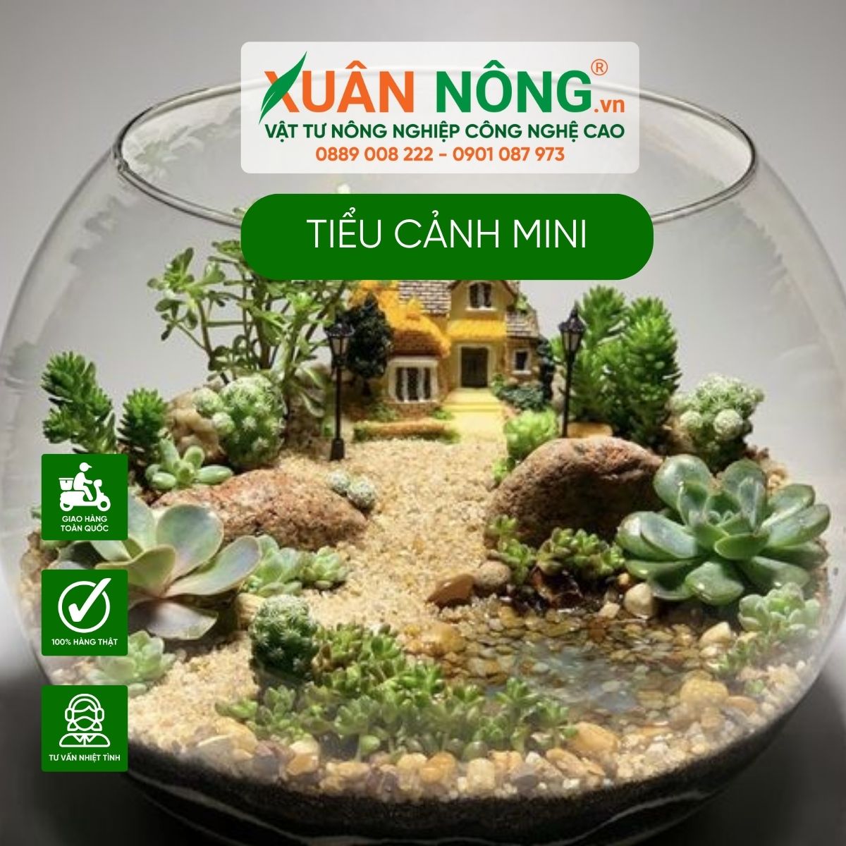 tieu-canh-mini-cham-soc