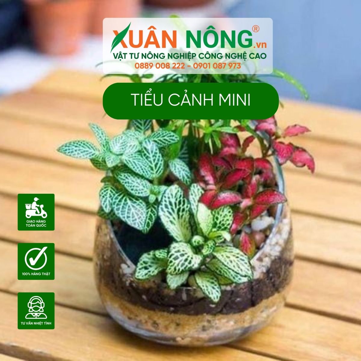 tieu-canh-mini-de-ban-may-man