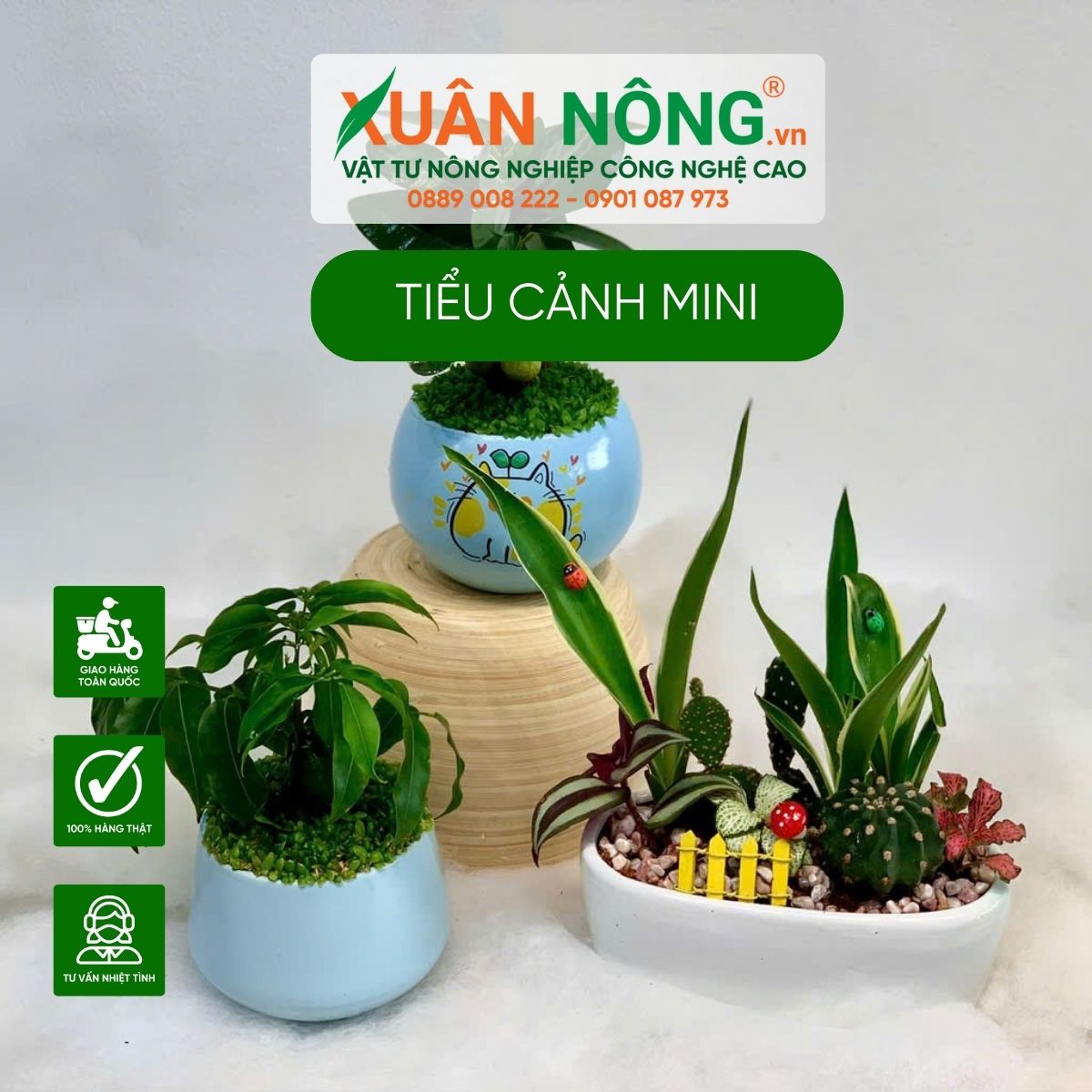 tieu-canh-mini-de-ban