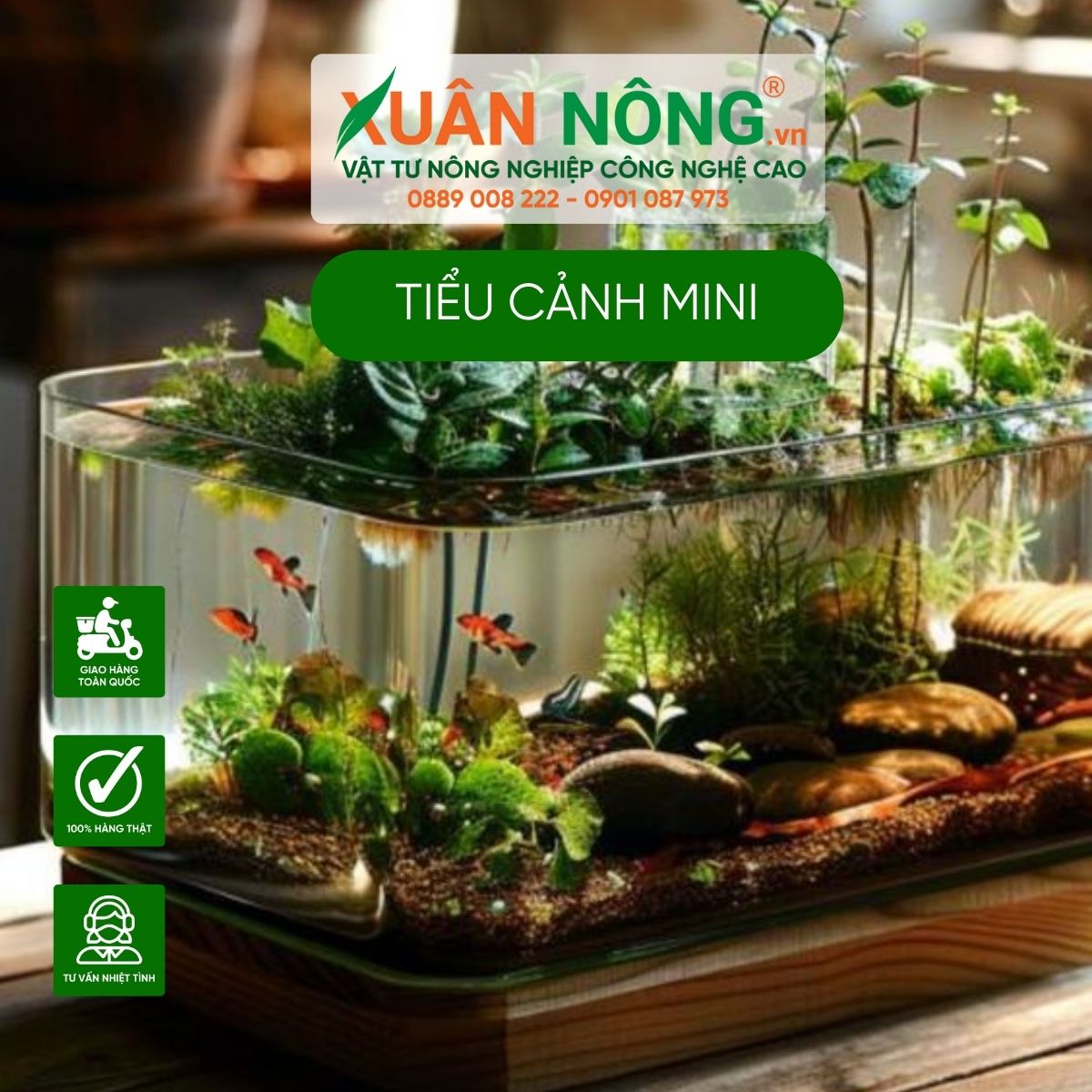 tieu-canh-mini-nuoi-ca-cach-lam