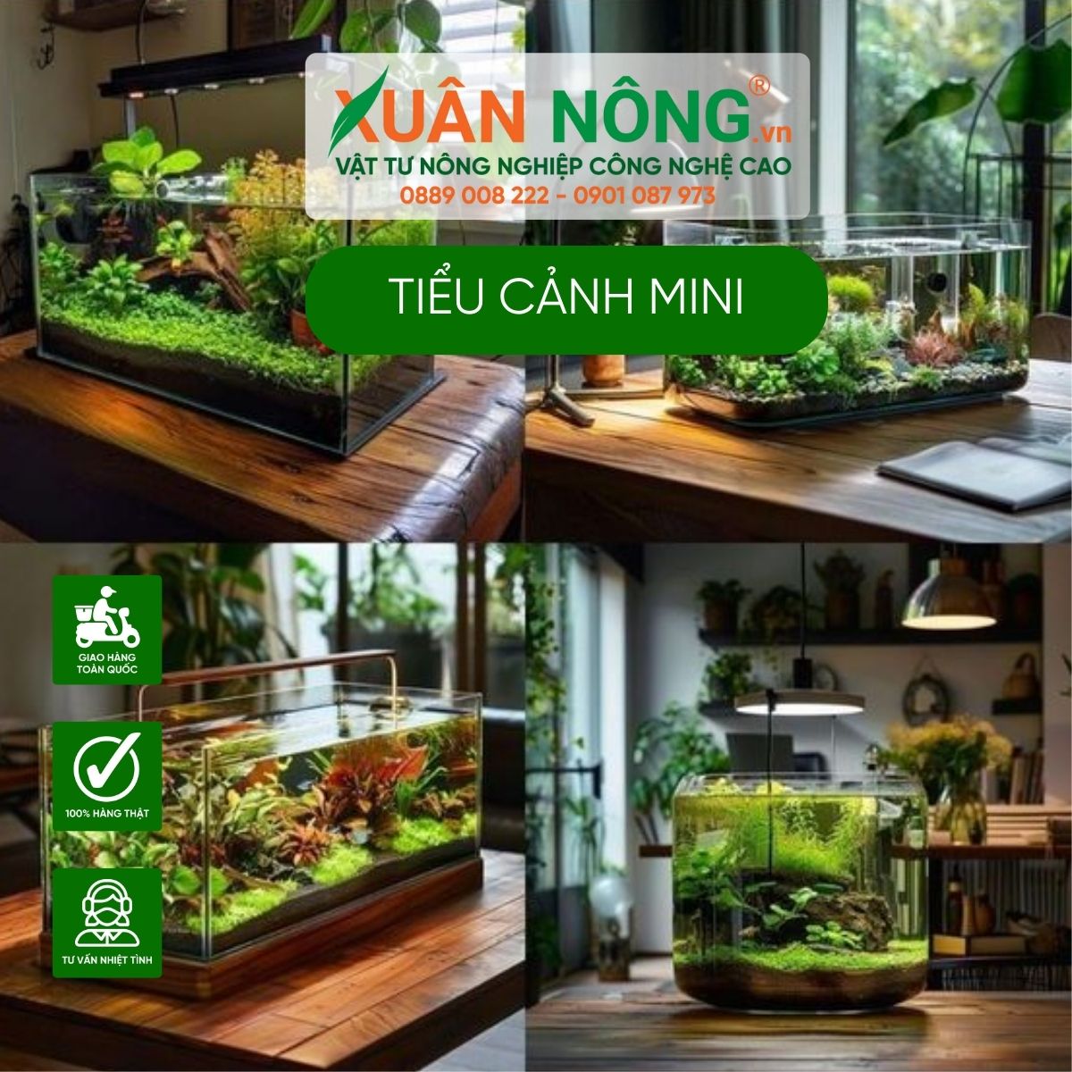 tieu-canh-mini-nuoi-ca-trong-nha