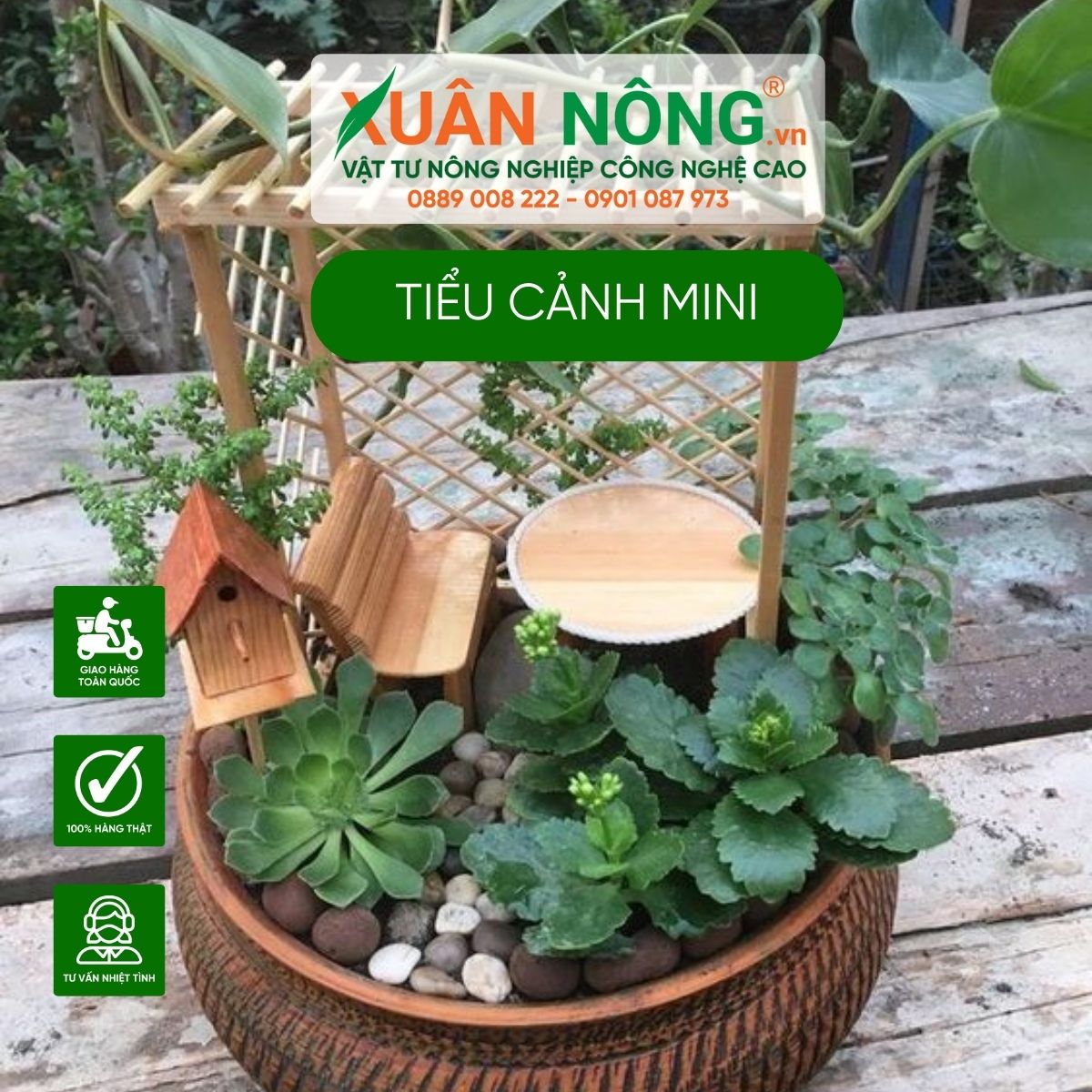 tieu-canh-mini-sieu-dep