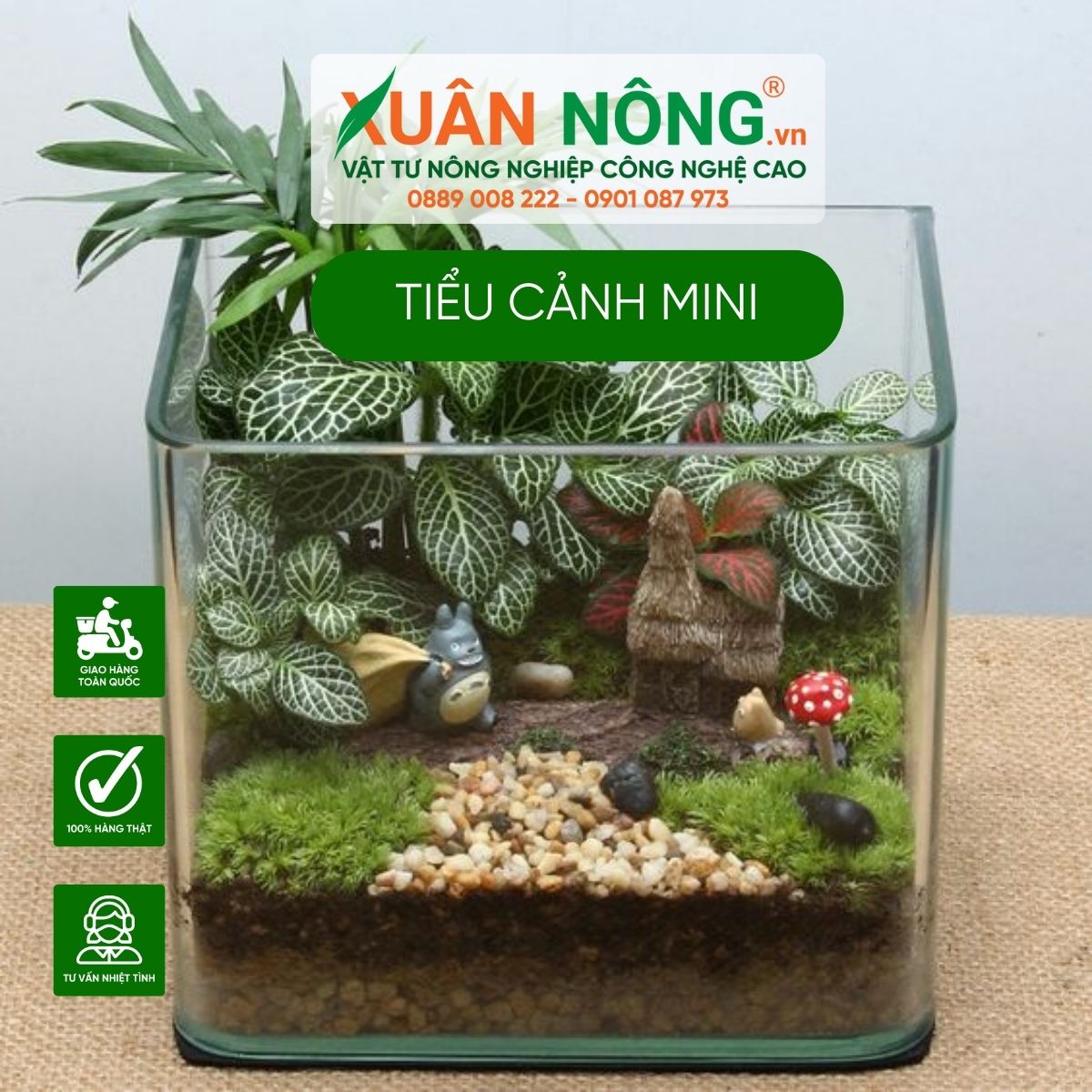 tieu-canh-mini-them-xanh