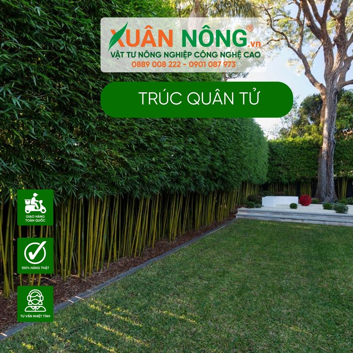 truc-quan-tu-canh-quan