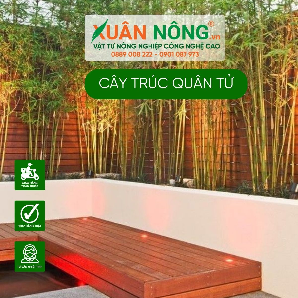 truc-quan-tu-nen-trong-truoc-nha-khong