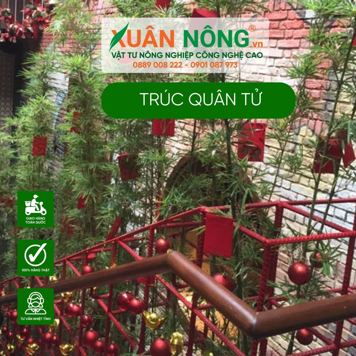 truc-quan-tu-trang-tri-quan