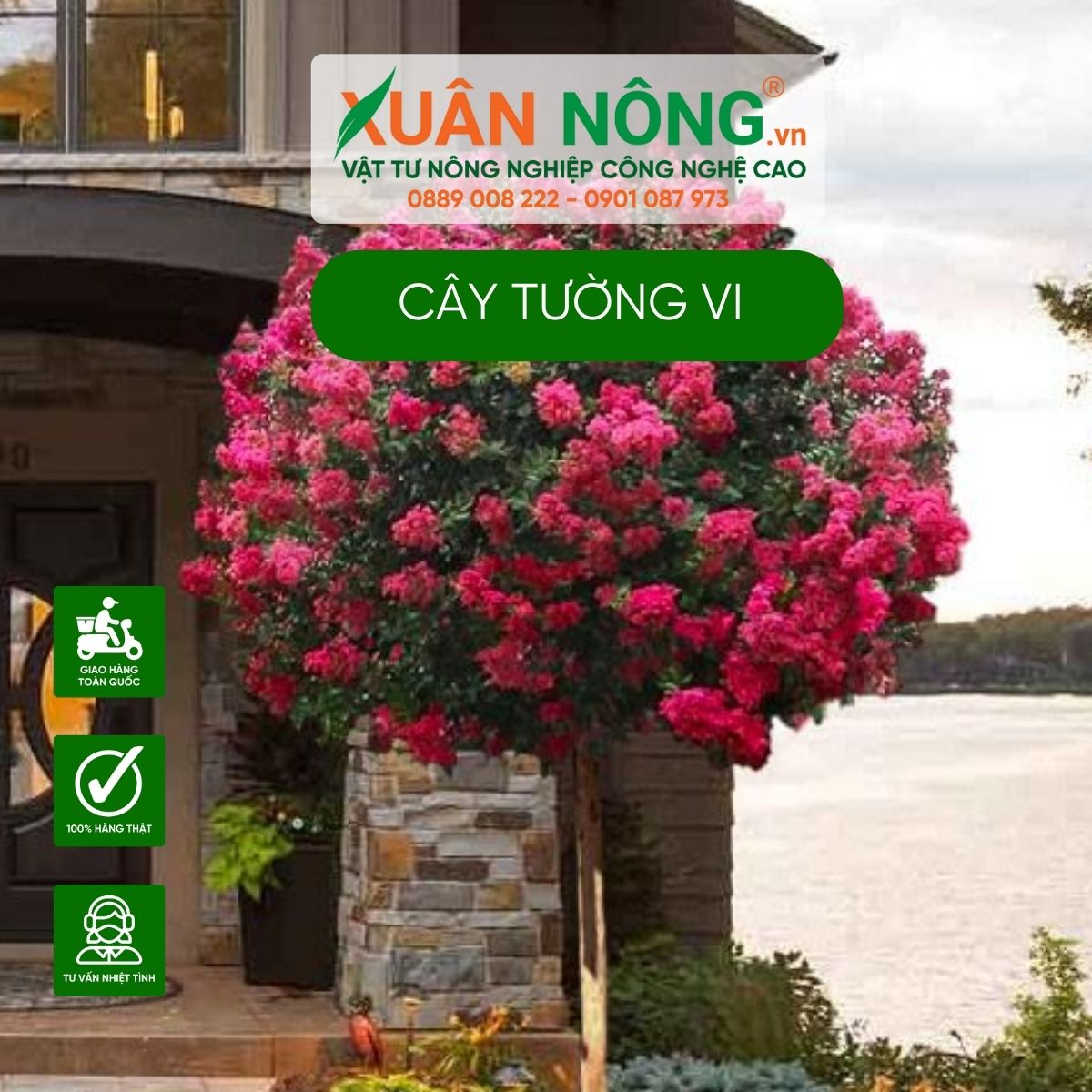 tuong-vi-trong-truoc-nha-co-nen-khong