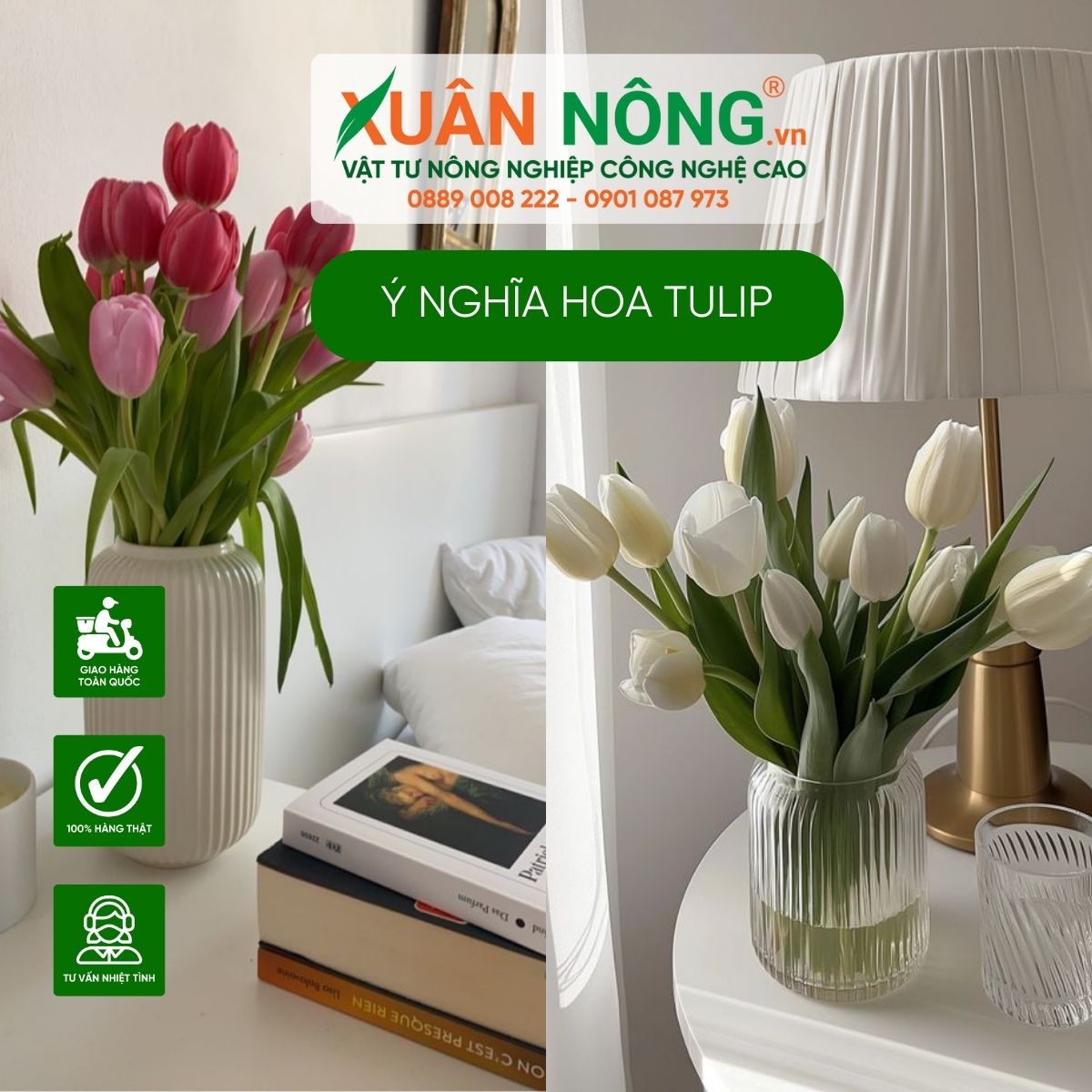 ung-dung-hoa-tulip