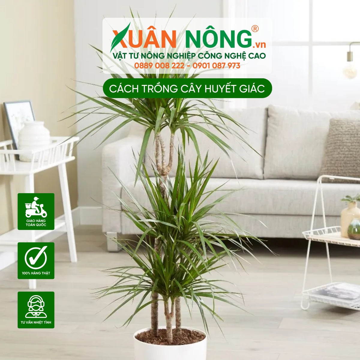 Công dụng trong lĩnh vực y học