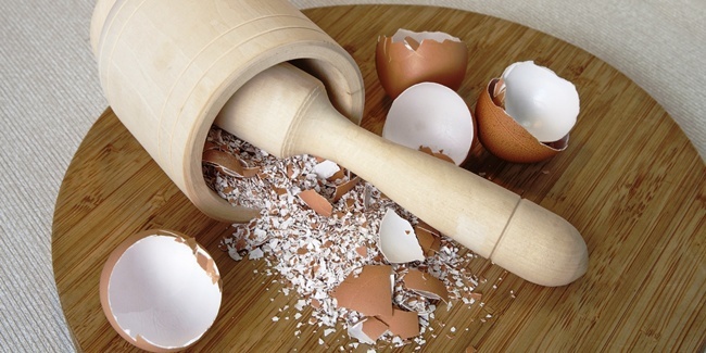cách xử lý vỏ trứng làm phân bón cây