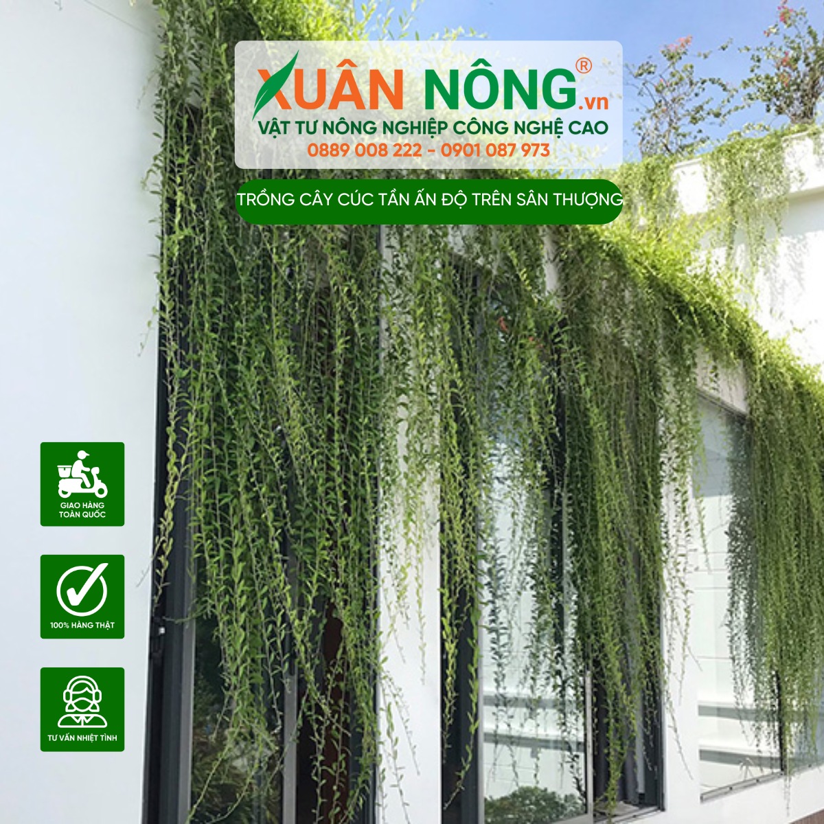 Đặc điểm sinh trưởng