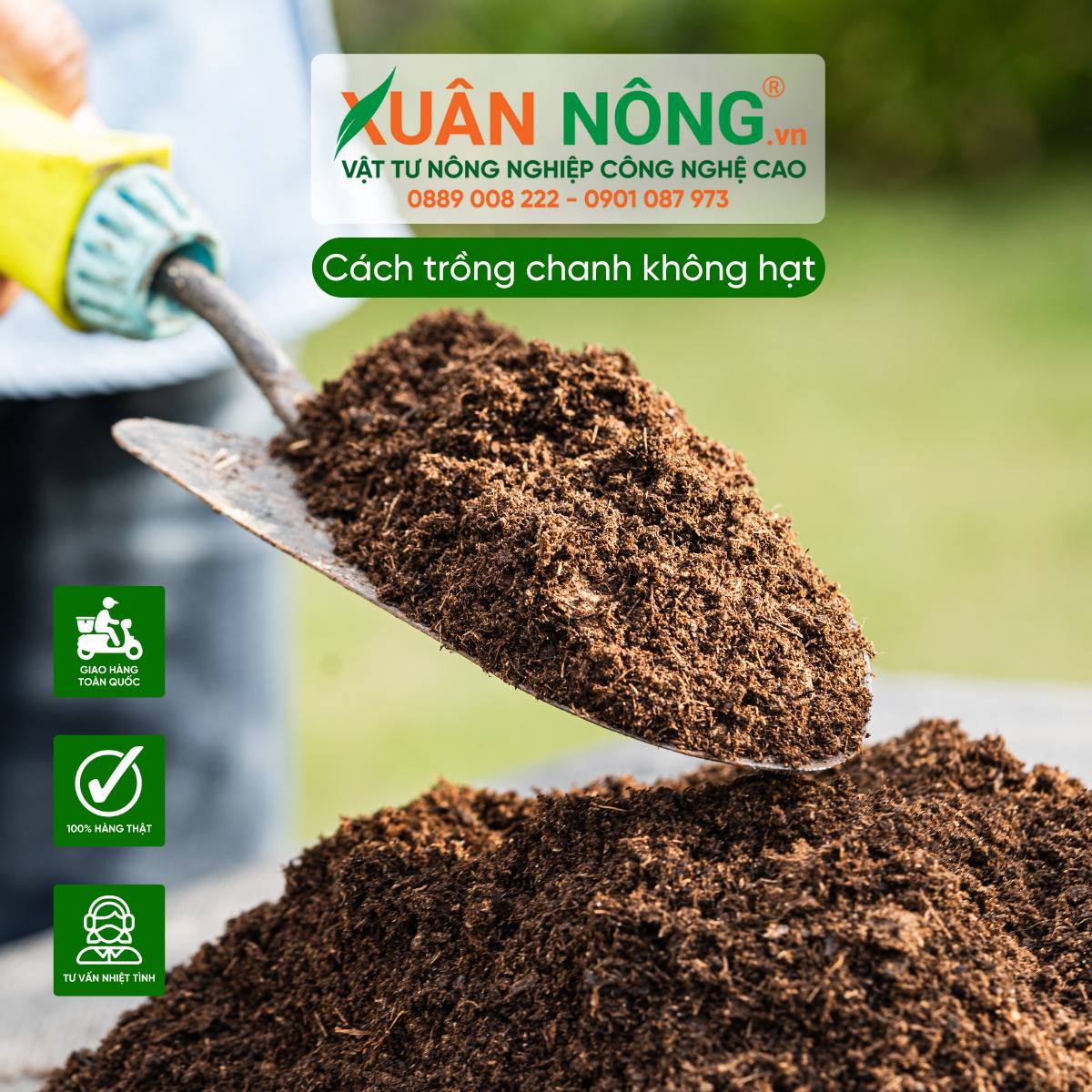 Đất trồng cây chanh không hạt