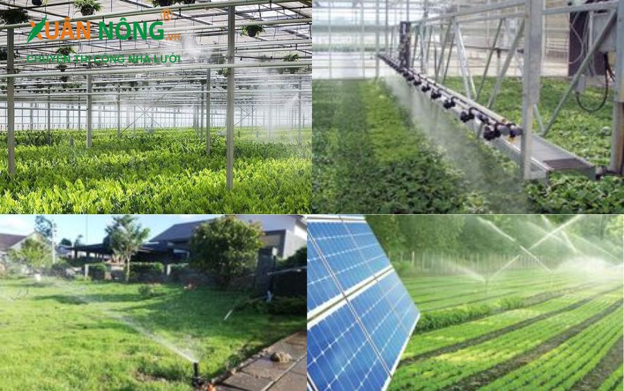 Làm mát môi trường và giảm căng thẳng nhiệt