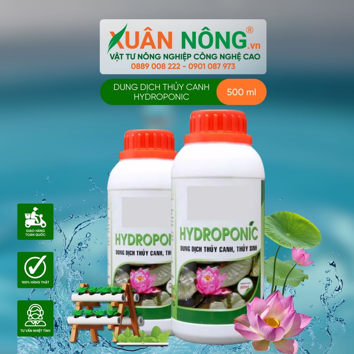 dung dich thuy canh hydroponic