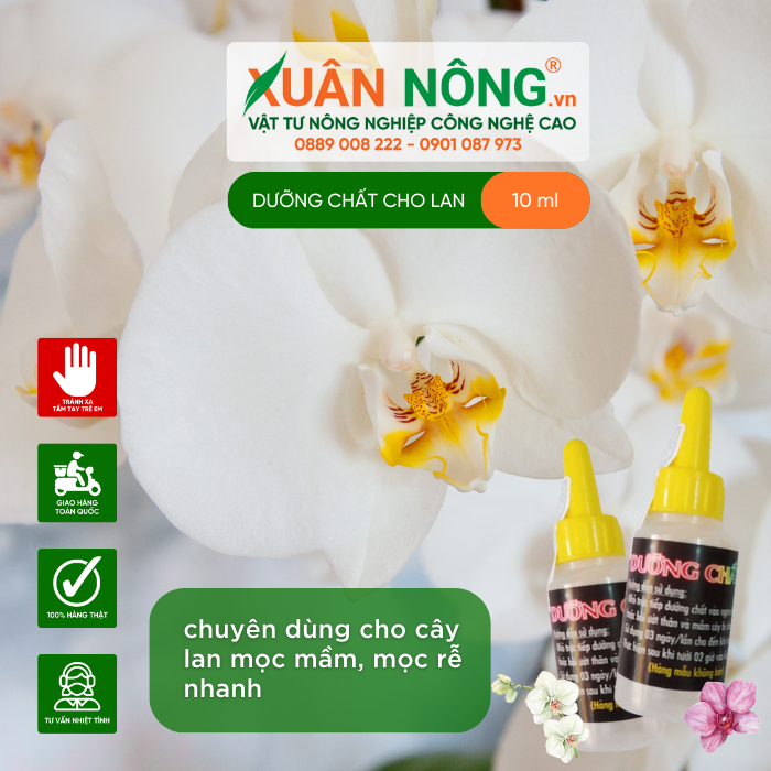 duong chat AB
