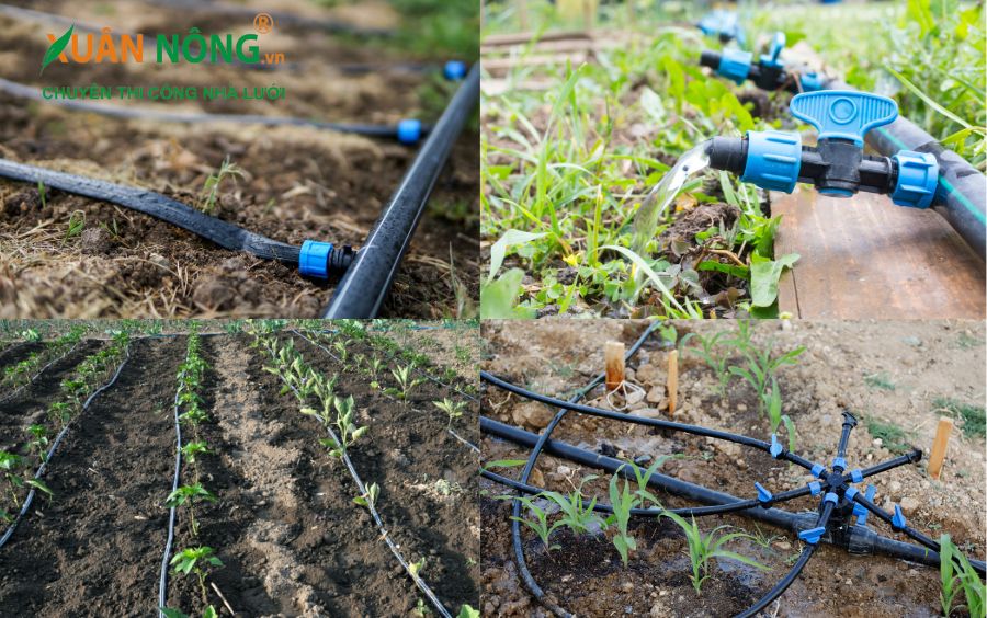 Hệ thống tưới nước nhỏ giọt