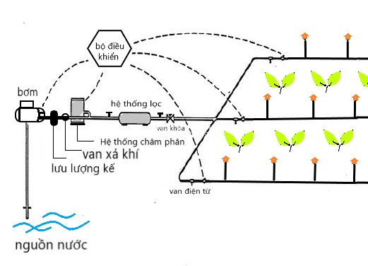 he thong tuoi