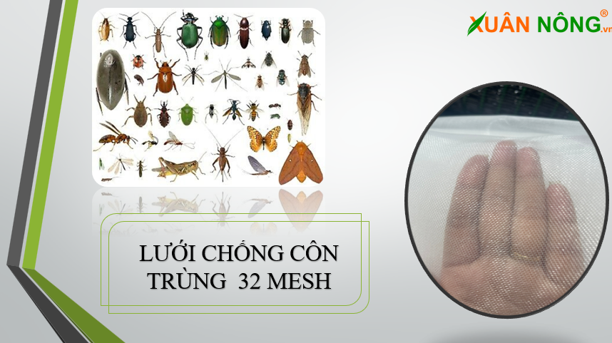 luoi chong con trin 32 mesh