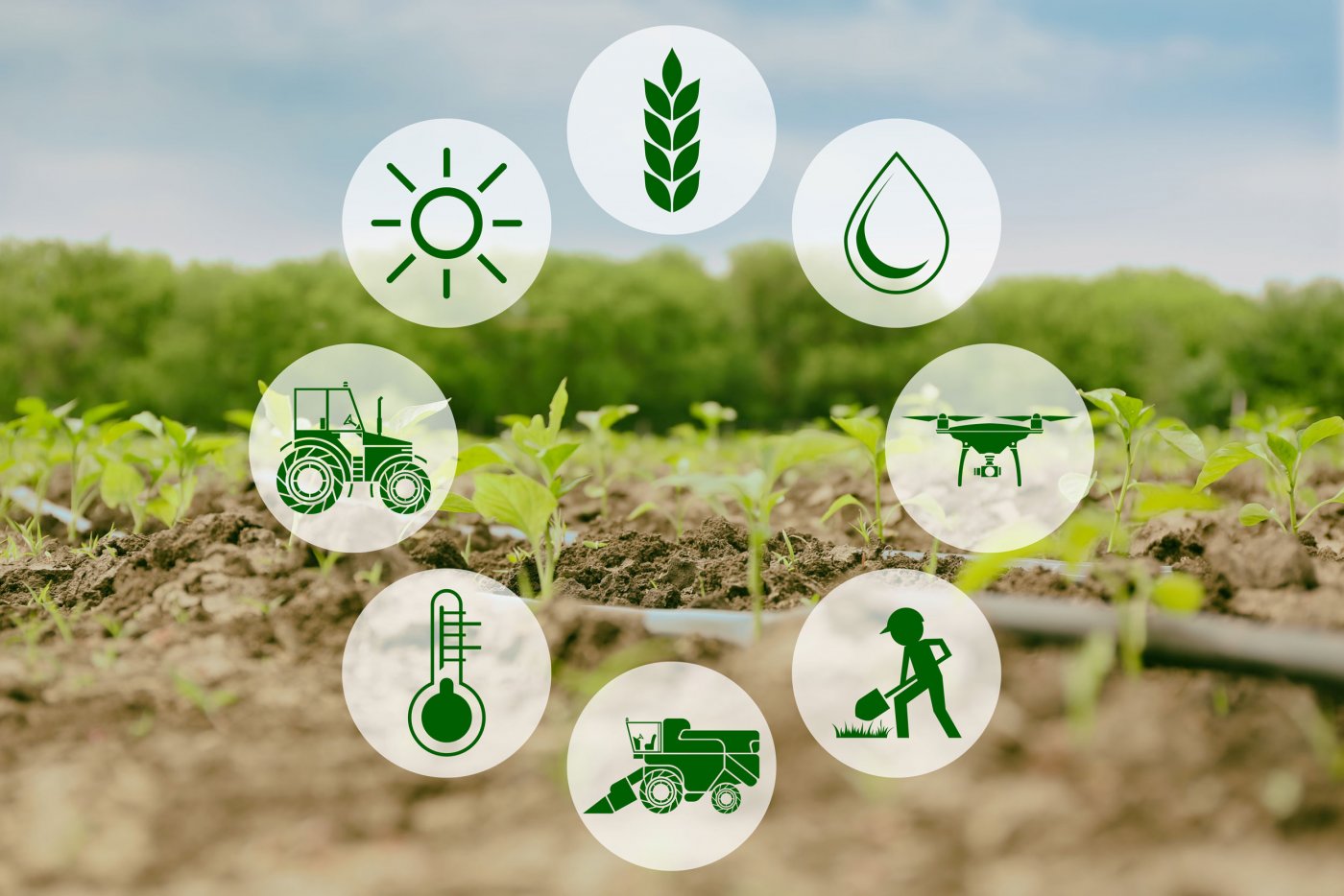 nông nghiệp 4.0 là gì