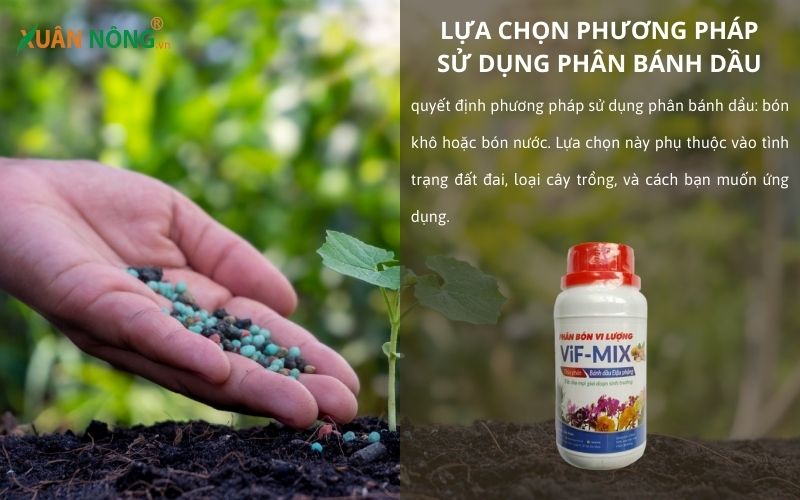 phuong-phap-lua-chon-phan-banh-dau