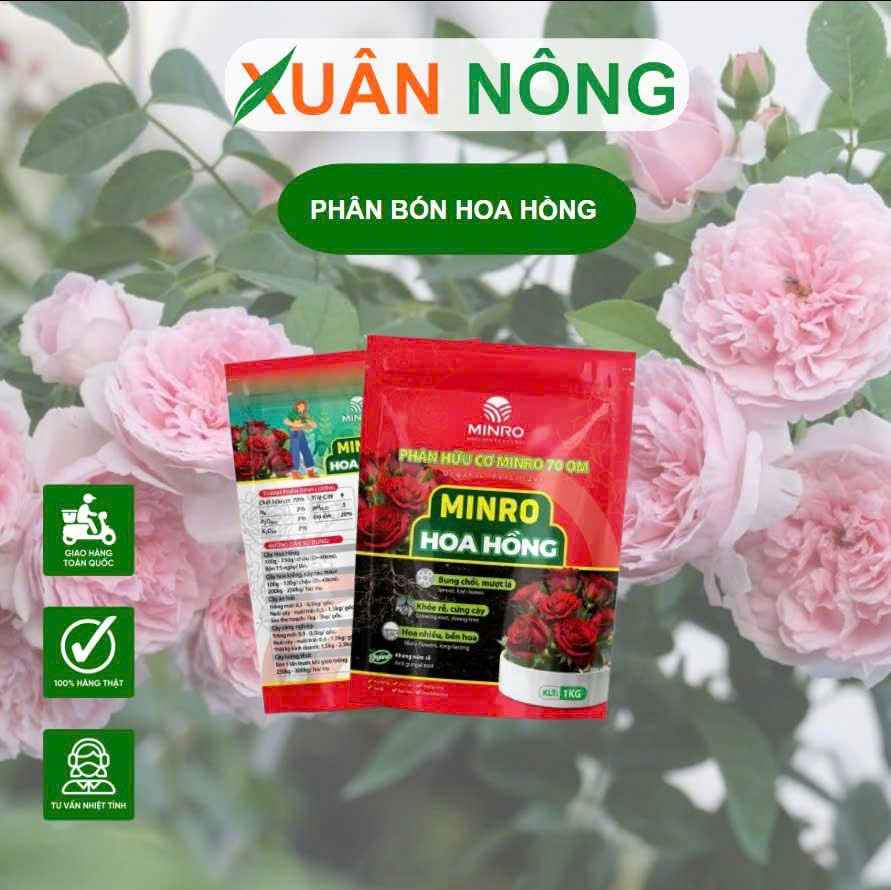 phan-huu-co-minro-700m-cho-hoa-hong.1