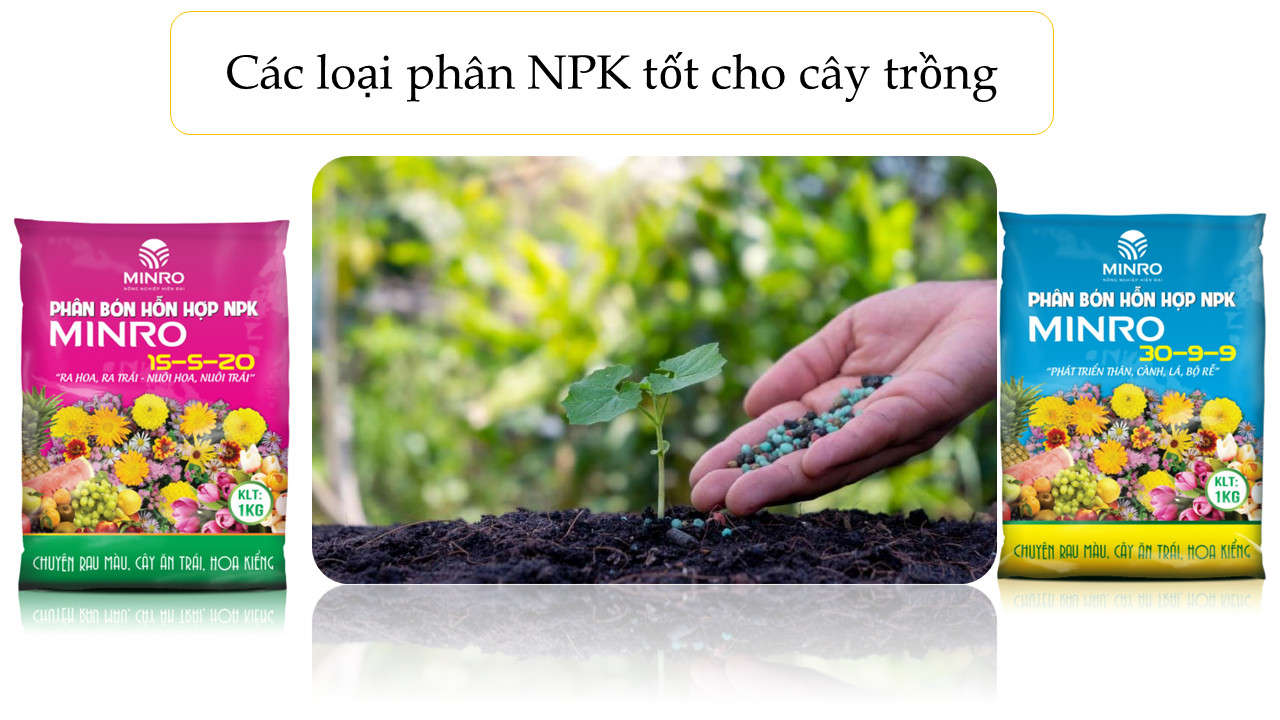 phân bón NPK