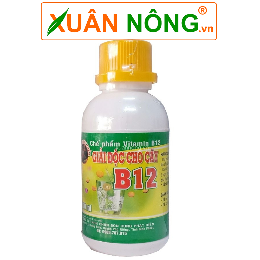 che-pham-vitamint-b12-giai-doc-cho-lan