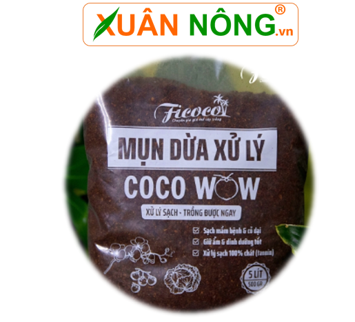 Mụn dừa coco wow
