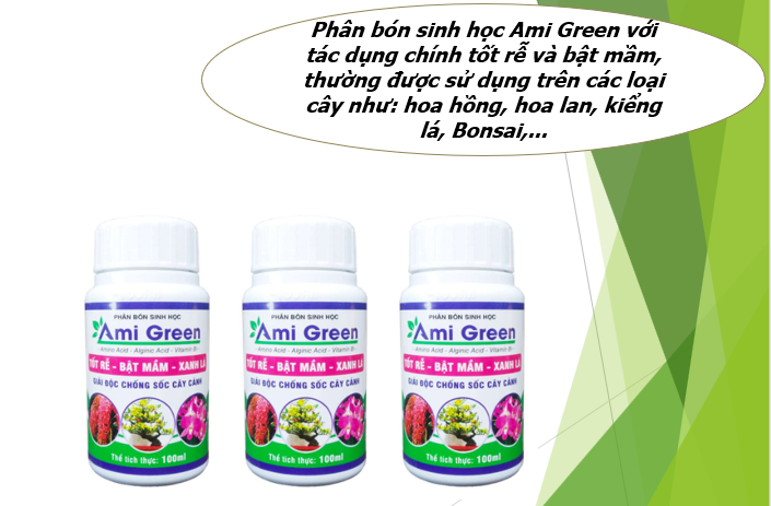 ami-green