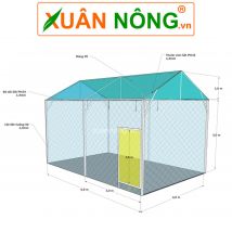 Nhà màng mini trồng rau sạch tại Cần Thơ