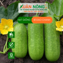 Hạt giống bí đao chanh