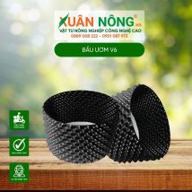 Bầu ươm V6