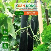 HẠT GIỐNG BÍ ĐAO XANH TRÁI DÀI JAVA