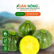 HẠT GIỐNG BÍ TRÒN ĂN NON