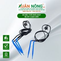 Bộ béc tưới nhỏ giọt bù áp 4 que cấm
