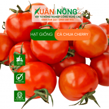 Hạt giống cà chua cherry