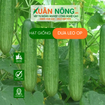 Hạt giống dưa leo op