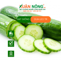 Hạt giống dưa leo