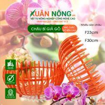 Chậu nhựa trồng cây - chậu bí