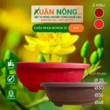 Chậu nhựa trổng cây - Chậu bonsai 25